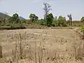 Jakhera Taal,Banghushree.