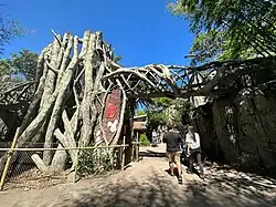 Tiger exhibit