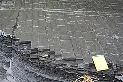 Rectangular joints in siltstone and black shale within the Utica Shale (Ordovician) near Fort Plain, New York.
