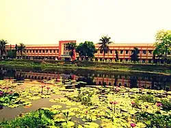 Long, low building across a pond with water lilies