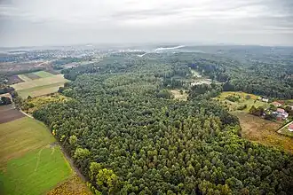 Forested Segiet Nature Reserve [pl] on the border of Tarnowskie Góry and Bytom