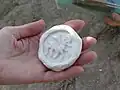 Seal depicting a sheep or goat-like creature