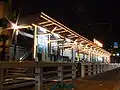 Platform at night, January 2009