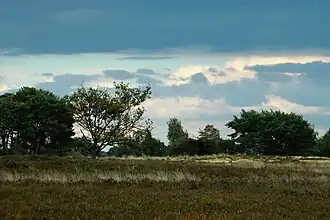 Natuurgebied Kampina [nl] in Boxtel