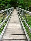 Bridge III