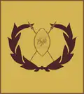 Warrant officer class 2 (Kenya Army)[62]