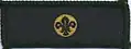Chief Scout's Personal Award