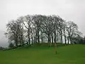 The Knoll or Knowe on the Cunninghamhead road, locally known as Bowie's Munt