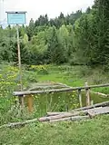 Village pond