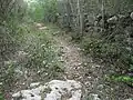 Cuca Mayan vestiges.