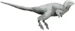 Kulindadromeus zabaikalicus