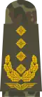 General (field suit)