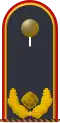 Brigadegeneral ausser Dienst (Luftwaffe retired brigadier general, service uniform)
