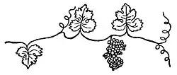 Grapevine branch, symbol of Spiritism