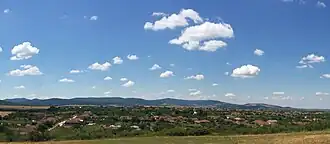 Drauț