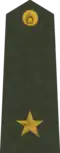 Leitnants (Latvian Land Forces)[46]