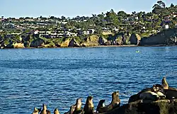 La Jolla Shores