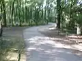 The trail around Lake Kittamaqundi