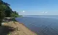 Shoreline, south of Mustvee in Estonia