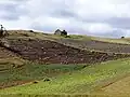 Potato fields around Lake Tota