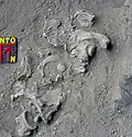 Burial 5. Excavation at phase 13.