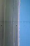 Magnified view of leaf; 0 to 1 = 1 mm; the saw-like edge can cut human skin