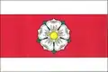 Flag of Ledenice