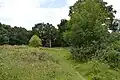 Lexden Gathering Grounds