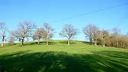Cefn Ila