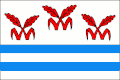 Flag of Litvínovice