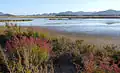 Abandoned salt flats of Lo Poyo.
