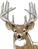 Official logo of Buck Township, Pennsylvania