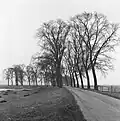 'Belgica', Kampernieuwstad, the Netherlands (1968)
