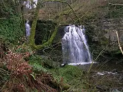 Linn Spout on the Caaf Water; illustrating the thick limestone deposits in this area.