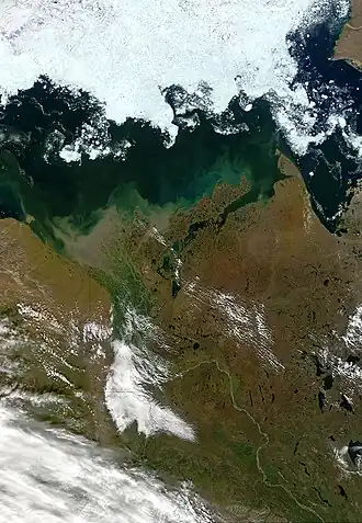 Satellite image of the Mackenzie Delta area where the Tarium Niryutait MPA is located