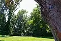 Madrona Park