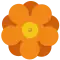 1998