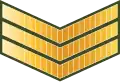 ސާރޖަންޓް Saarjant (Maldives National Defence Force)[75]