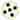 5 (highlighted)