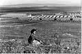 Israeli army camp at Khirbet al-Mansura. 1948