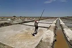 Sea-salt pans in Tamil Nadu, India