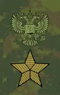 Field uniform (2010–present)