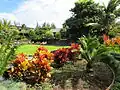 Landscape garden around lawn