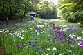 Meiji Shrine Gyoen (inner garden)