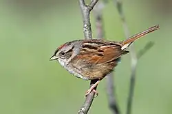 In Quebec, Canada