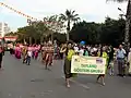 Thailand group in Mersin Citrus Festival