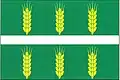 Flag of Mišovice