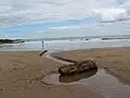 Coldingham Sands