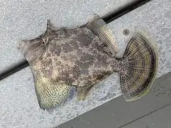In Hong Kong