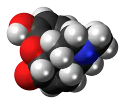 Space-filling model